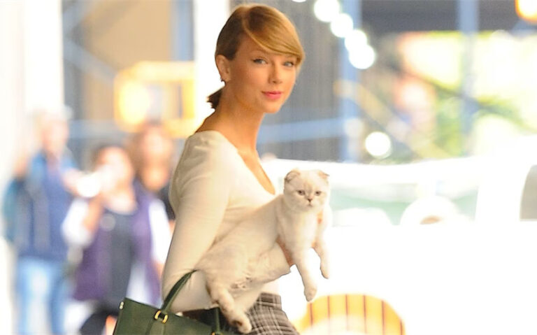 taylor swift cat net worth